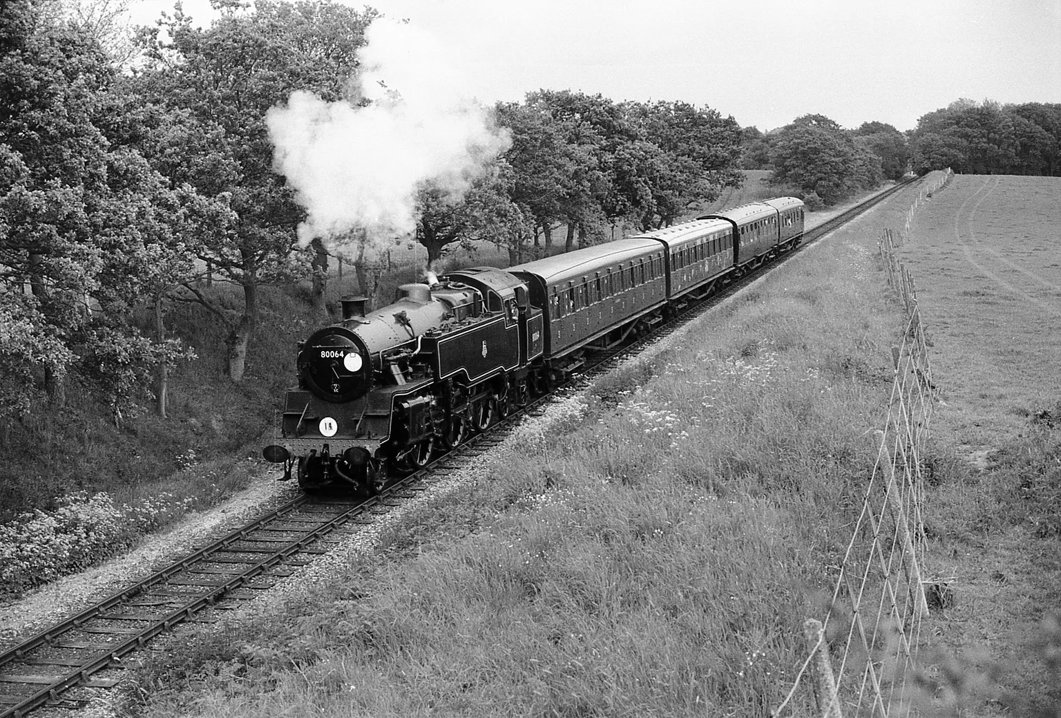 A black and white view of a tank engine and carriages climbing Freshfield bank past a hedge and a field