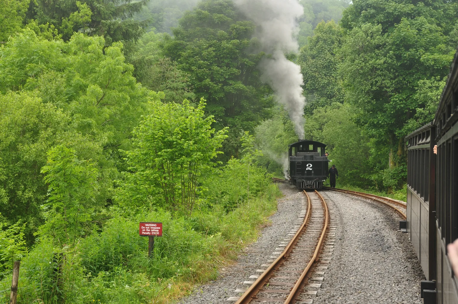 A small black steam locomotive numbered 2 coming round a curve on narrow gauge track through green woodland, smoke rising.