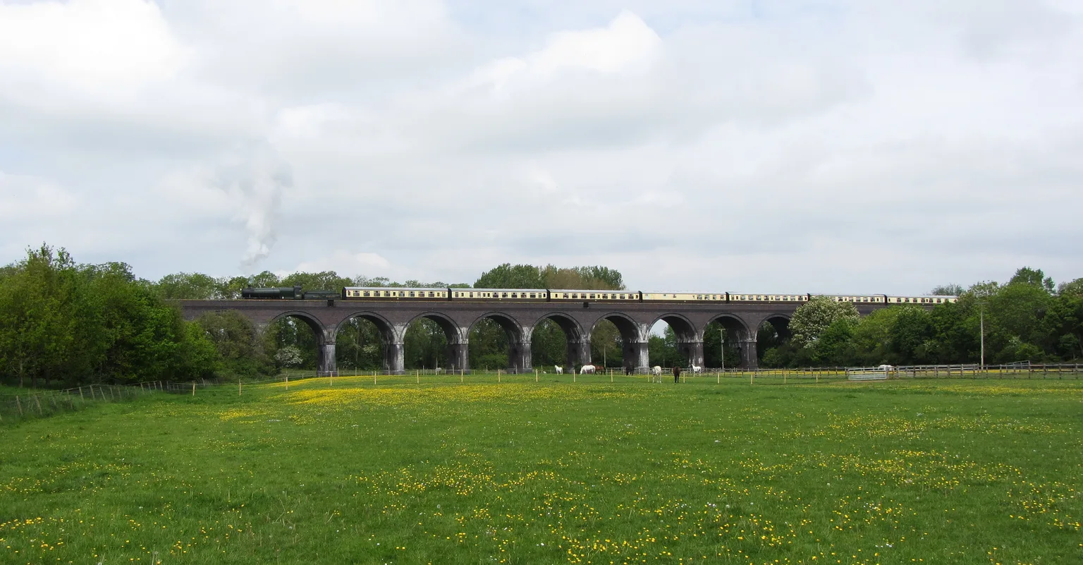 A train crossing a long many-arched viaduct beyond a meadow of buttercups.