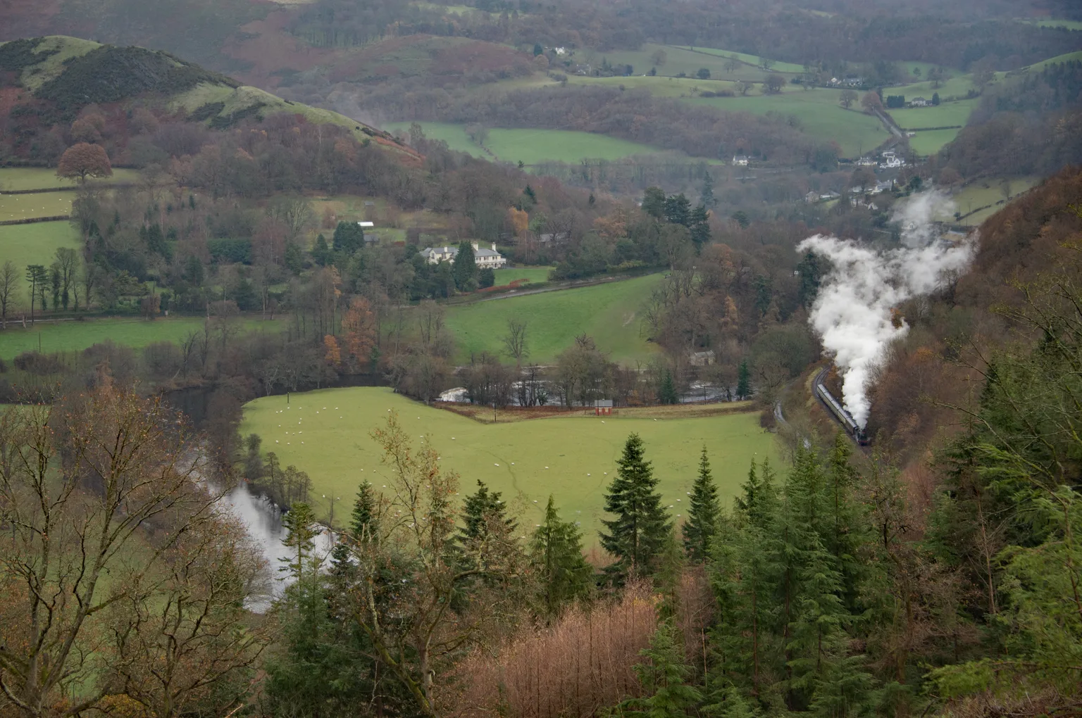 Steam rising from a train climbing through the wooded Dee valley near Berwyn, fields below