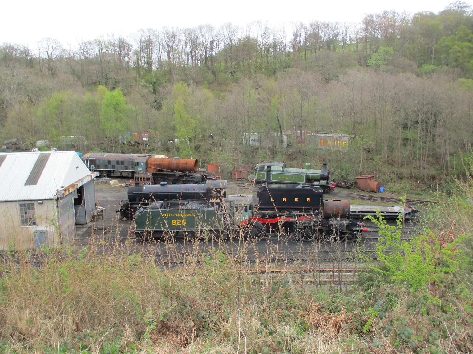 Steam locomotives in the yard at Grosmont engine sheds below a wooded hillside