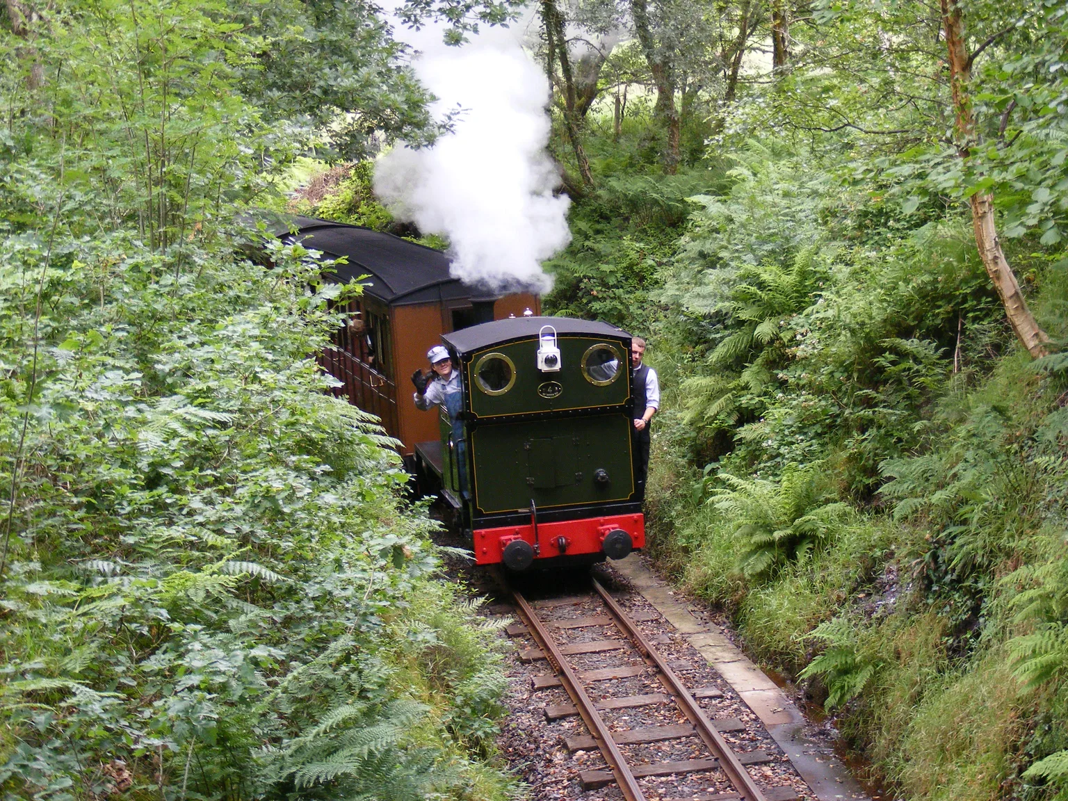 A small green narrow gauge engine with crew leaning out, bringing its train through ferns and woodland