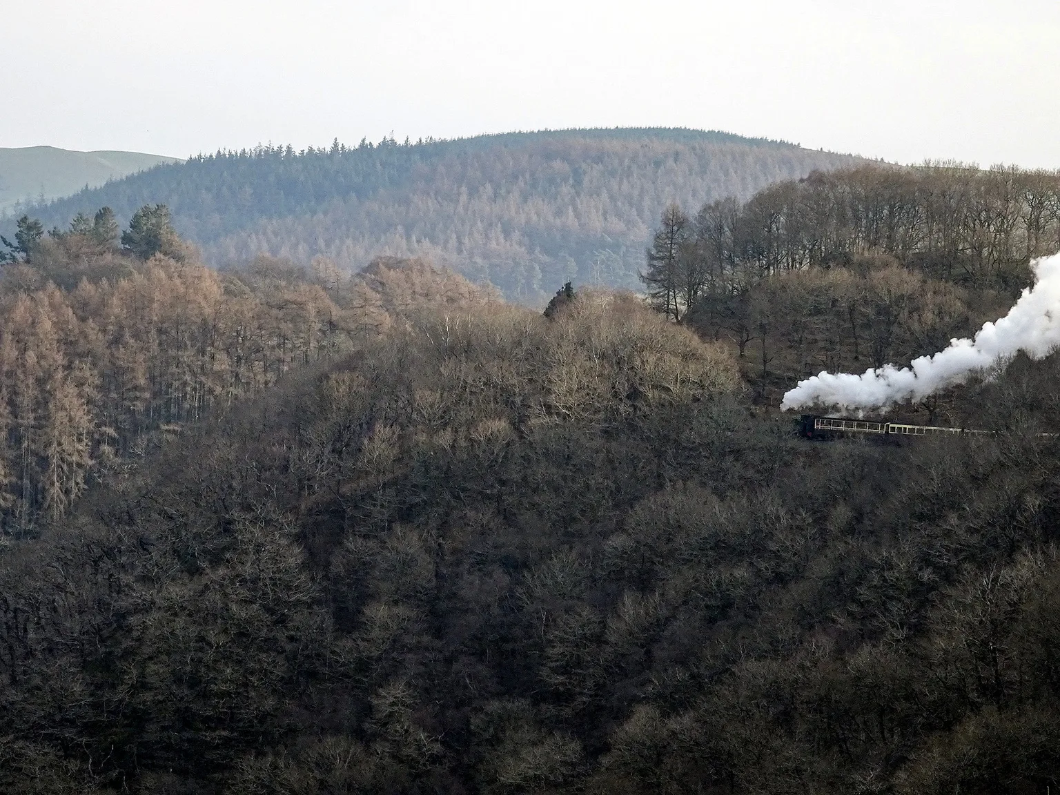A steep wooded valley in Wales with a plume of white steam rising from a small train climbing along the hillside.